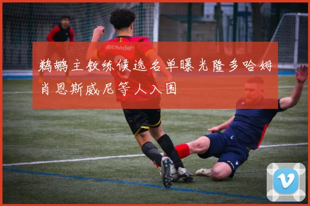 鹈鹕主教练候选名单曝光隆多哈姆肖恩斯威尼等人入围