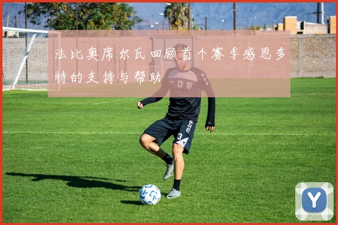 法比奥席尔瓦回顾首个赛季感恩多特的支持与帮助