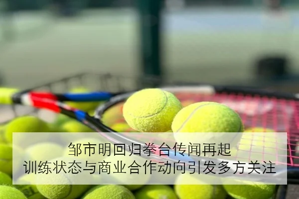 邹市明回归拳台传闻再起 训练状态与商业合作动向引发多方关注